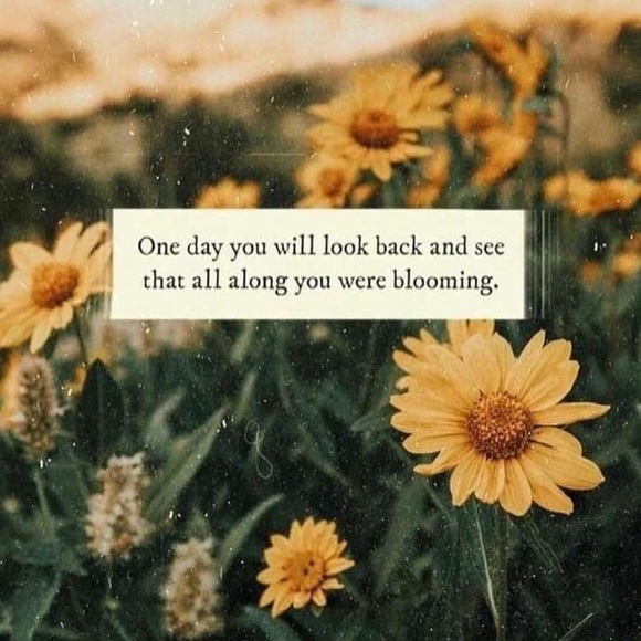 Meet your Posher, Haley - Picture 2 of 2